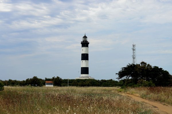 Exploration de Royan : Camping et activités pour toute la famille